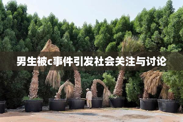 男生被c事件引发社会关注与讨论