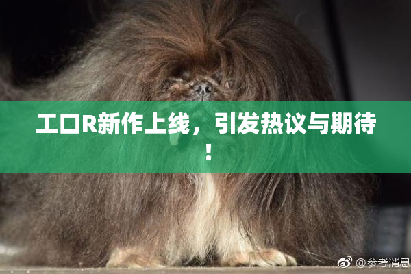 工口R新作上线，引发热议与期待！