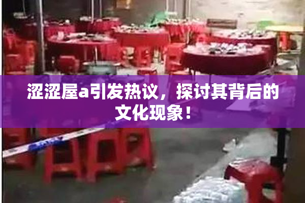 涩涩屋a引发热议，探讨其背后的文化现象！