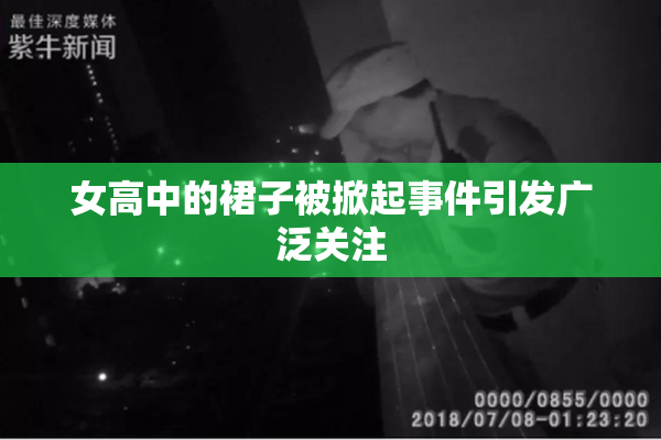 女高中的裙子被掀起事件引发广泛关注