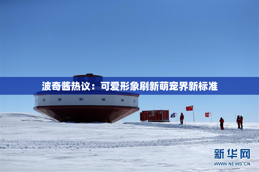 波奇酱热议：可爱形象刷新萌宠界新标准