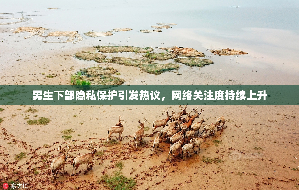 男生下部隐私保护引发热议，网络关注度持续上升