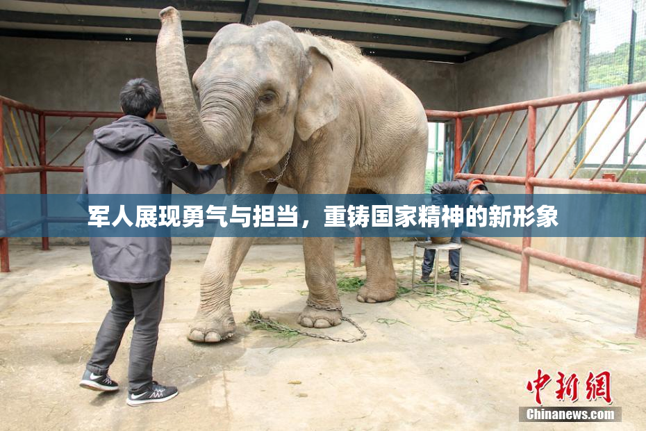 军人展现勇气与担当，重铸国家精神的新形象