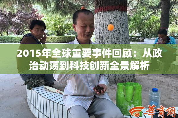 2015年全球重要事件回顾：从政治动荡到科技创新全景解析