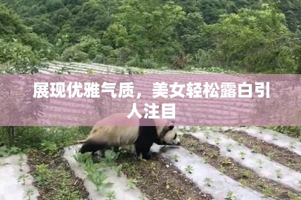 展现优雅气质，美女轻松露白引人注目
