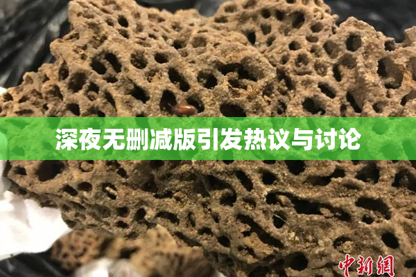 深夜无删减版引发热议与讨论