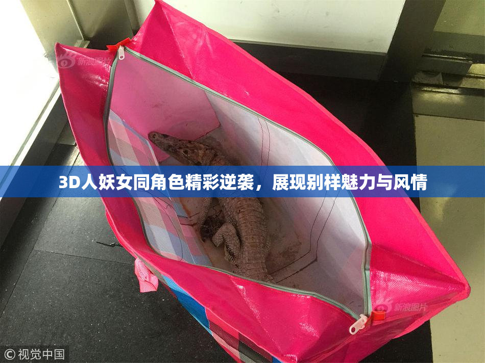 3D人妖女同角色精彩逆袭，展现别样魅力与风情