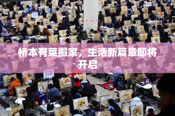 桥本有菜搬家，生活新篇章即将开启