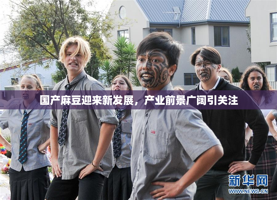 国产麻豆迎来新发展，产业前景广阔引关注