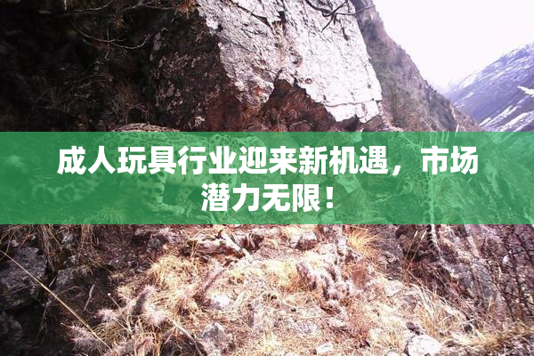 成人玩具行业迎来新机遇，市场潜力无限！