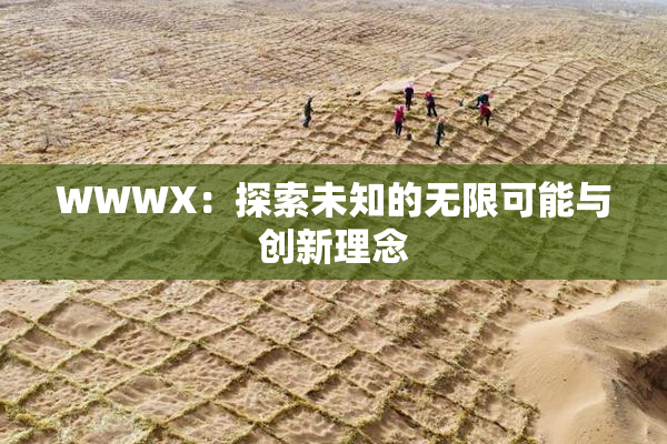 WWWX：探索未知的无限可能与创新理念