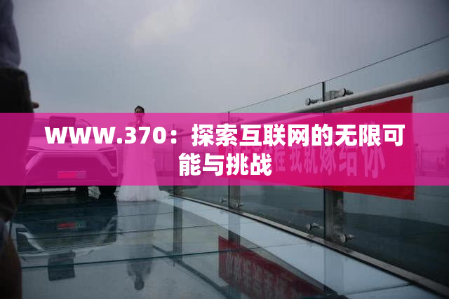 WWW.370：探索互联网的无限可能与挑战