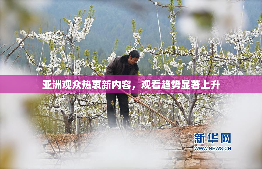 亚洲观众热衷新内容，观看趋势显著上升