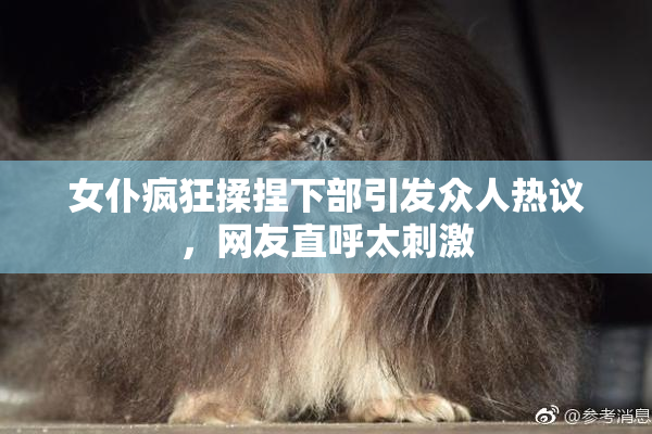 女仆疯狂揉捏下部引发众人热议，网友直呼太刺激