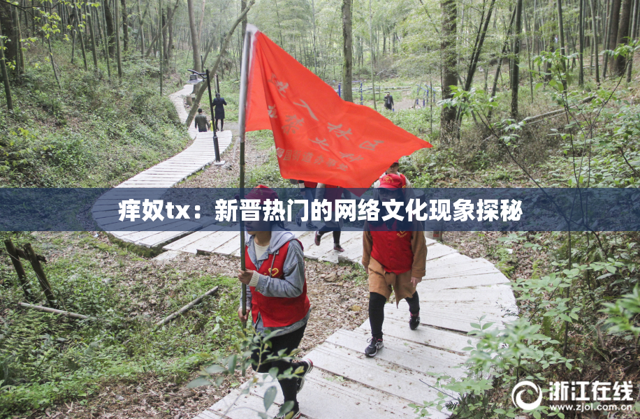 痒奴tx：新晋热门的网络文化现象探秘