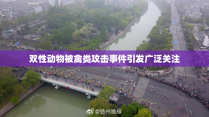 双性动物被禽类攻击事件引发广泛关注