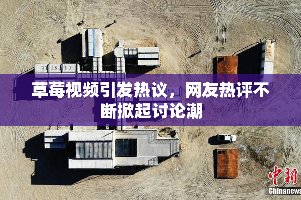 草莓视频引发热议，网友热评不断掀起讨论潮