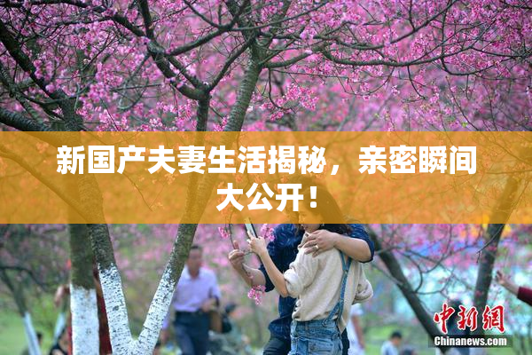 新国产夫妻生活揭秘，亲密瞬间大公开！