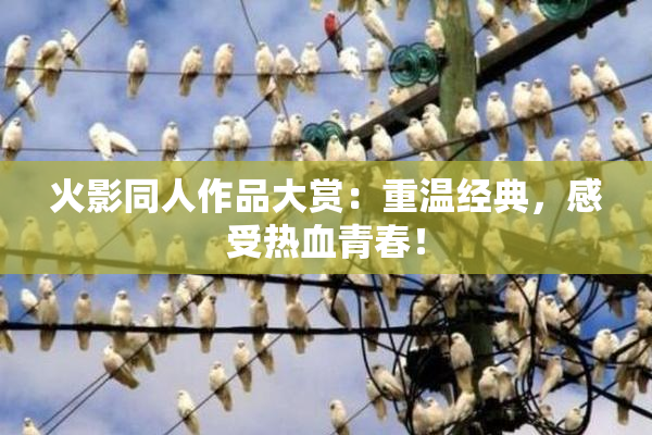火影同人作品大赏：重温经典，感受热血青春！