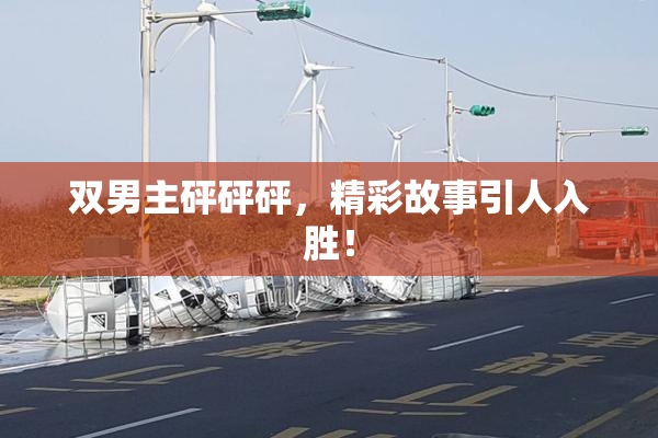 双男主砰砰砰，精彩故事引人入胜！