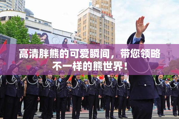 高清胖熊的可爱瞬间，带您领略不一样的熊世界！