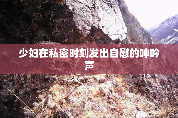 少妇在私密时刻发出自慰的呻吟声