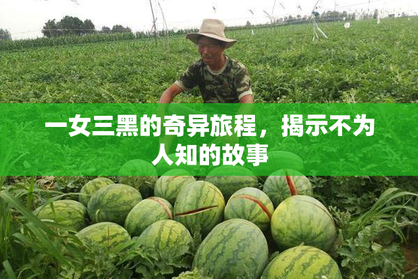 一女三黑的奇异旅程，揭示不为人知的故事