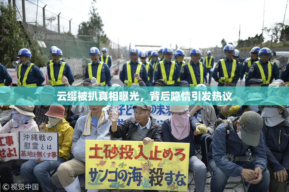 云缨被扒真相曝光，背后隐情引发热议