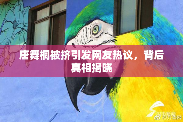 唐舞桐被挤引发网友热议，背后真相揭晓