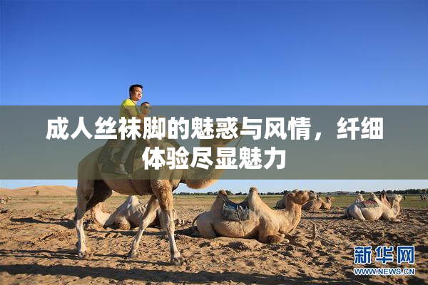 成人丝袜脚的魅惑与风情，纤细体验尽显魅力