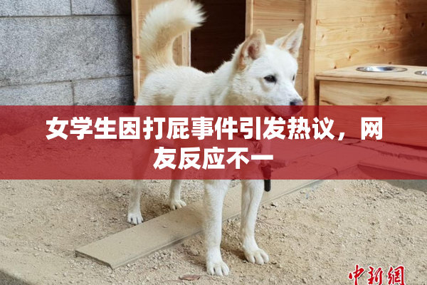 女学生因打屁事件引发热议，网友反应不一