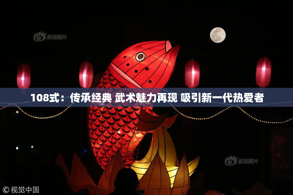 108式：传承经典 武术魅力再现 吸引新一代热爱者