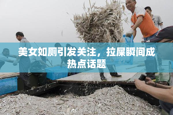 美女如厕引发关注，拉屎瞬间成热点话题