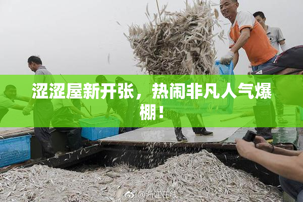 涩涩屋新开张，热闹非凡人气爆棚！