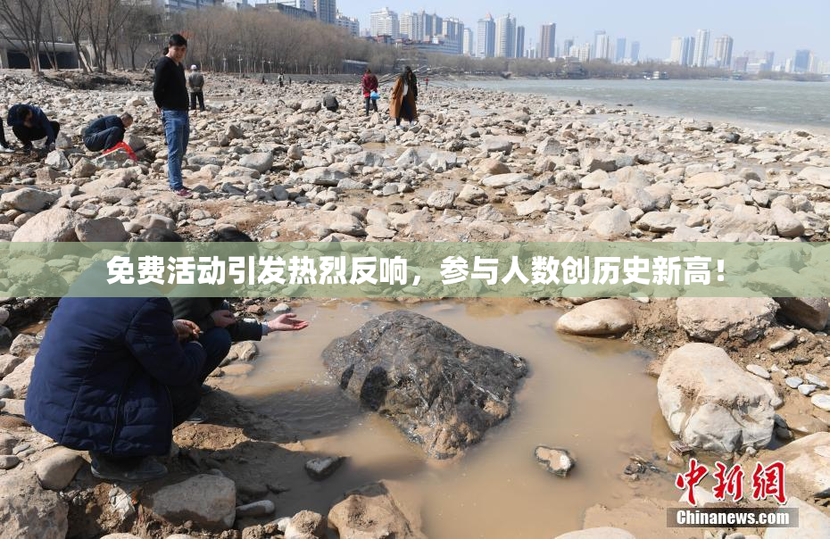 免费活动引发热烈反响，参与人数创历史新高！