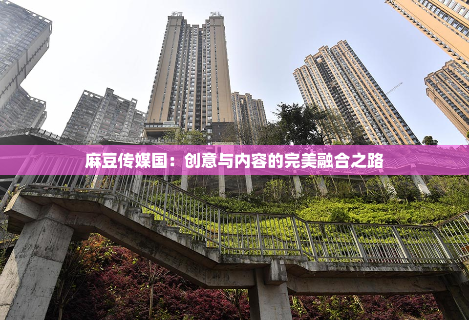 麻豆传媒国：创意与内容的完美融合之路
