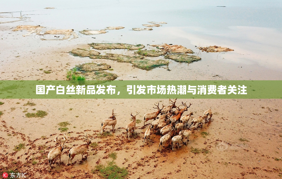 国产白丝新品发布，引发市场热潮与消费者关注