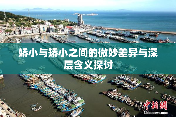 娇小与矫小之间的微妙差异与深层含义探讨