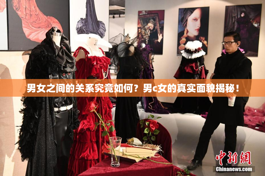 男女之间的关系究竟如何？男c女的真实面貌揭秘！