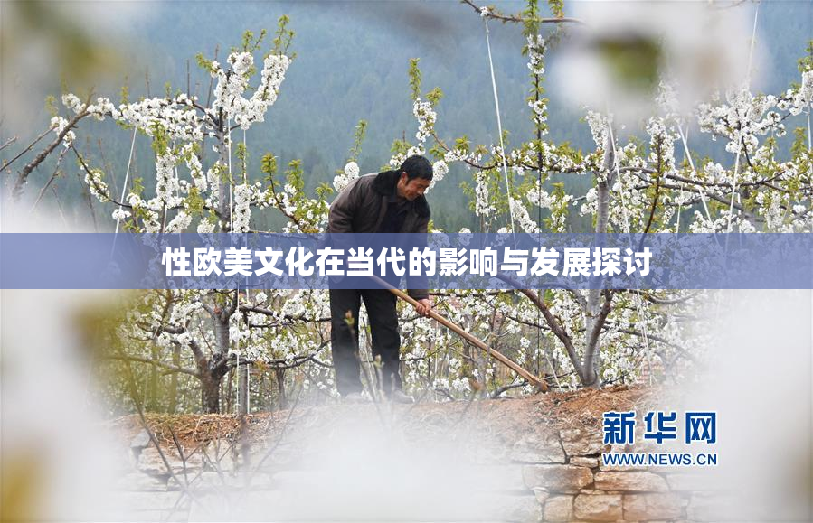 性欧美文化在当代的影响与发展探讨