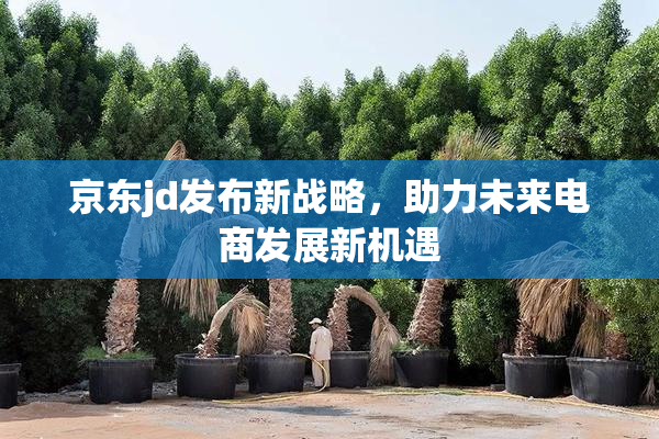 京东jd发布新战略，助力未来电商发展新机遇