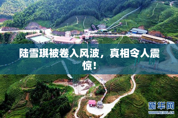 陆雪琪被卷入风波，真相令人震惊！