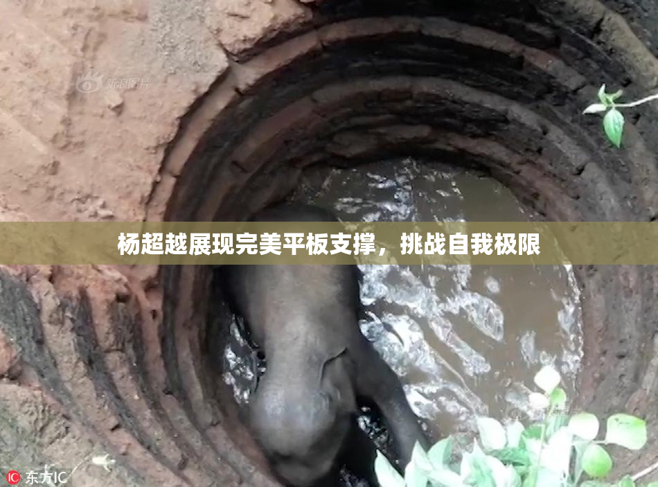 杨超越展现完美平板支撑，挑战自我极限