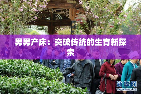 男男产床：突破传统的生育新探索