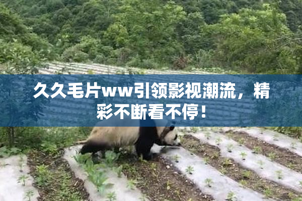 久久毛片ww引领影视潮流，精彩不断看不停！