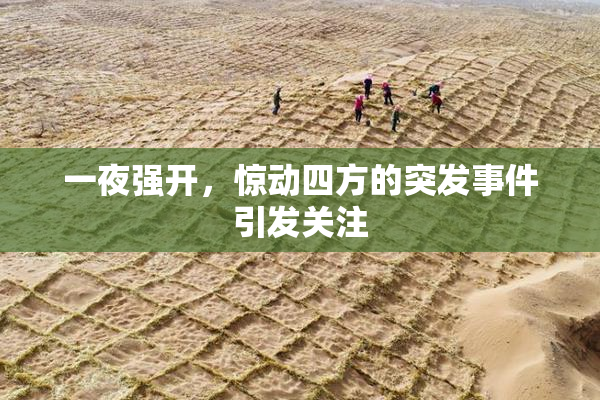 一夜强开，惊动四方的突发事件引发关注
