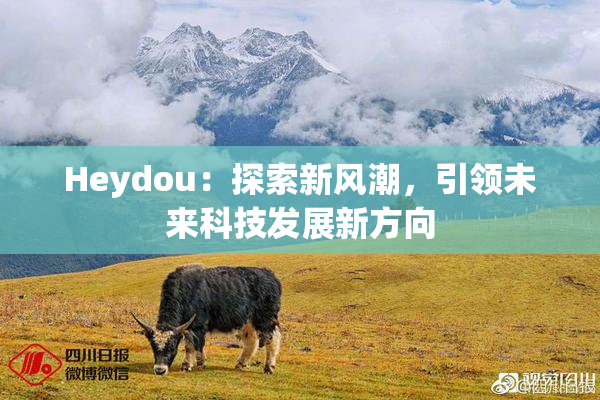 Heydou：探索新风潮，引领未来科技发展新方向