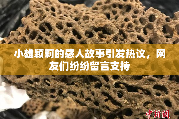 小雄颖莉的感人故事引发热议，网友们纷纷留言支持