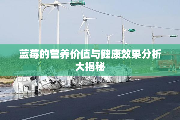 蓝莓的营养价值与健康效果分析大揭秘