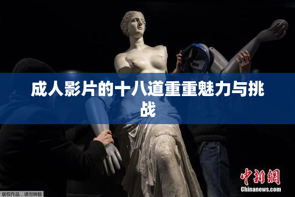 成人影片的十八道重重魅力与挑战